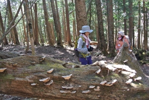 20130518-33 (300x201)