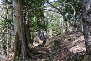 20130518-34 (300x201)