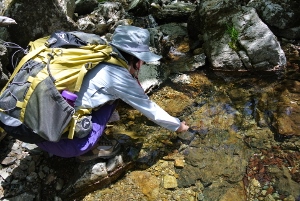 20130518-35 (300x201)