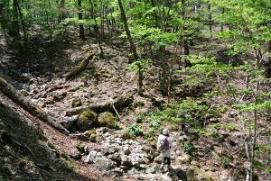 20130518-36 (300x201)