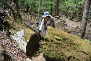 20130518-38 (300x201)