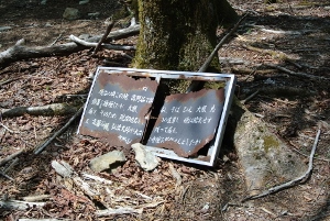 20130518-41 (300x201)