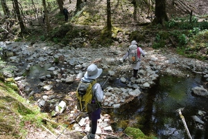 20130518-44 (300x201)