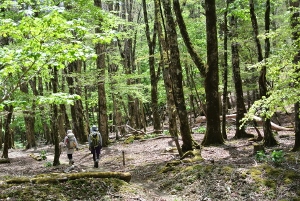 20130518-45 (300x201)