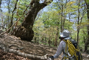 20130518-48 (300x201)