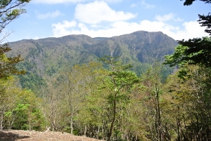 20130518-49 (300x201)