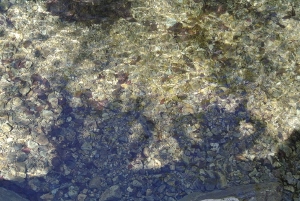 20130518-51 (300x201)