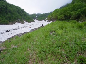 1294274_164428470427803_1316066874_o