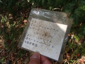 P2010518 - コピー - コピー