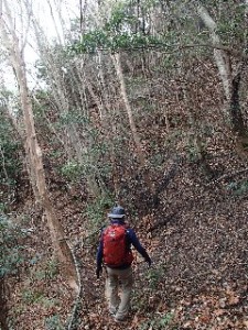 P2010552 - コピー