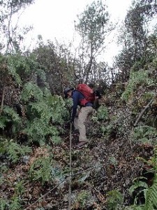 P2010549 - コピー