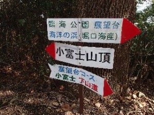 P2010535 - コピー - コピー