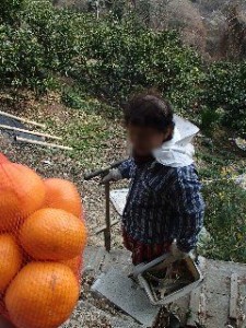 P2010520 - コピー - コピー