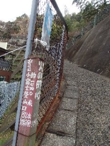 P2010530 - コピー - コピー