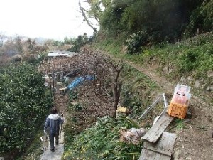 P2010521 - コピー - コピー