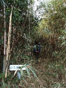 P2010531 - コピー - コピー