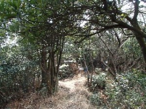 P2010536 - コピー - コピー