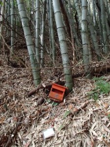 P2010516 - コピー - コピー