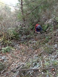 P2010555 - コピー