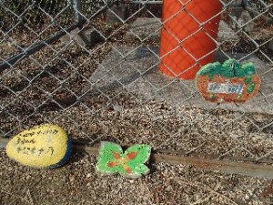 P2010546 - コピー