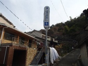 P2010529 - コピー - コピー