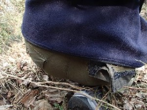 P2010559 - コピー