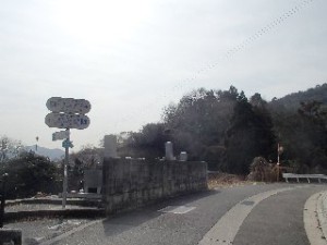 P2010526 - コピー - コピー