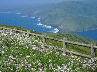 アカハゲ山山頂より