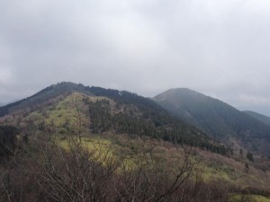 11223312_798417343623545_8351623229761981810_n