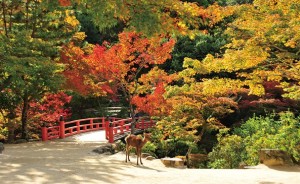 %e3%82%82%e3%81%bf%e3%81%98%e8%b0%b7%e5%85%ac%e5%9c%92